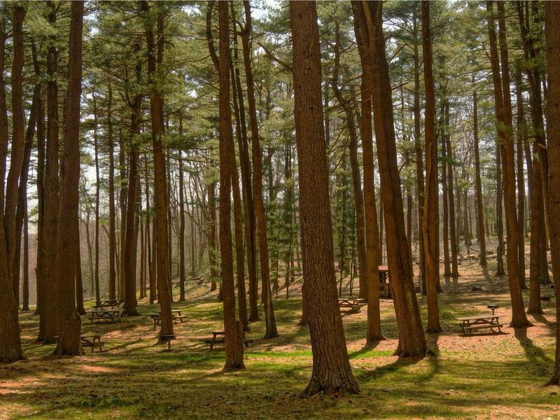 sudoku senior friendly screenshot 5